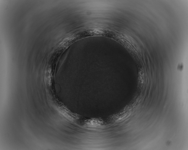 X0000101140223200806270927