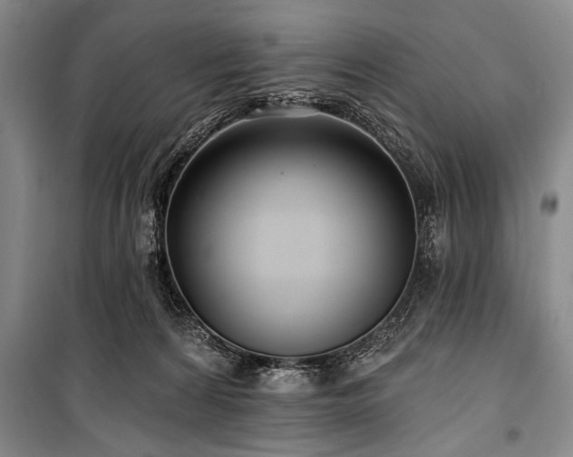 X0000101140224200806270927