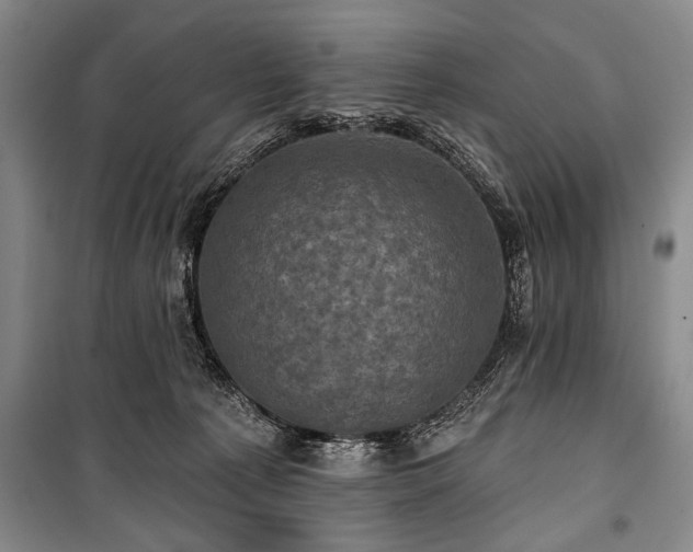 X0000101140225200806270927