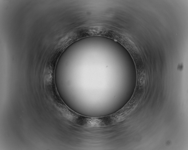 X0000101140226200806270927