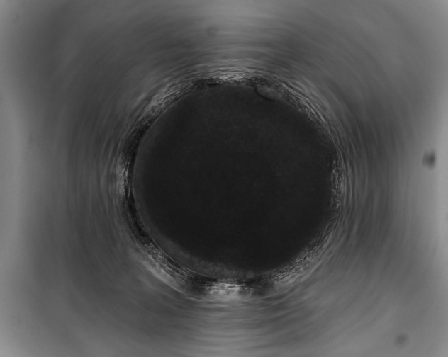 X0000101140227200806270927