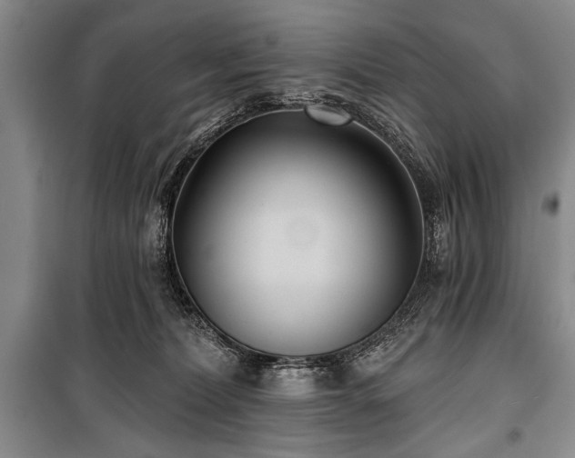 X0000101140228200806270927