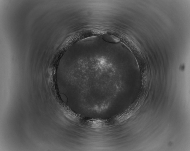 X0000101140229200806270927