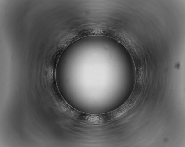 X0000101140230200806270927