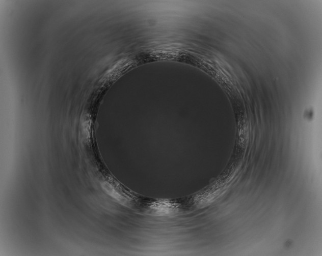 X0000101140231200806270927