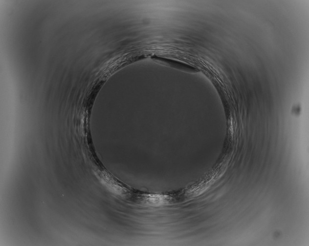 X0000101140233200806270927