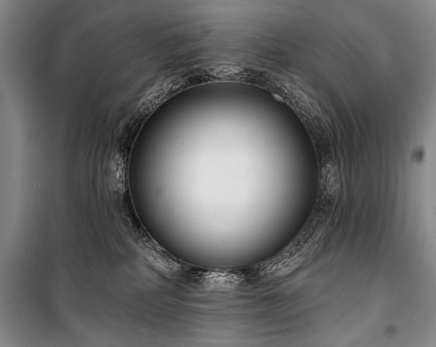 X0000101140234200806270927