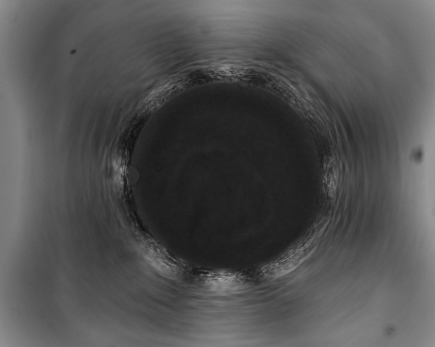 X0000101140235200806270927