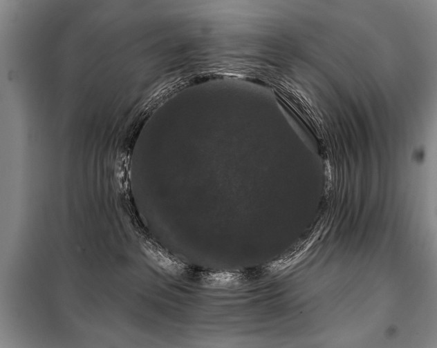 X0000101140237200806270927