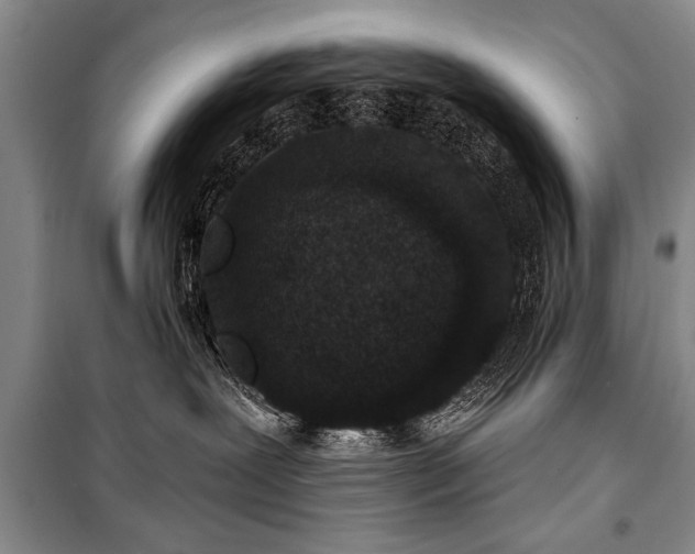 X0000101140239200806270927