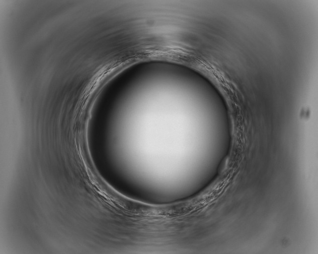 X0000101140241200806270926