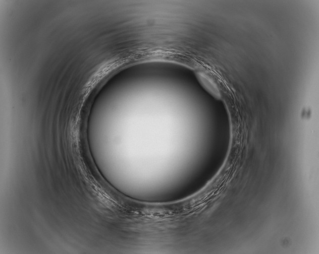 X0000101140242200806270926