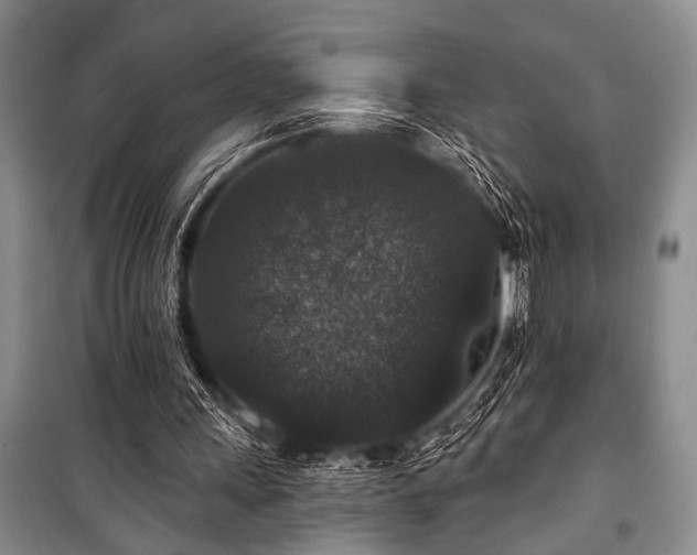 X0000101140243200806270926