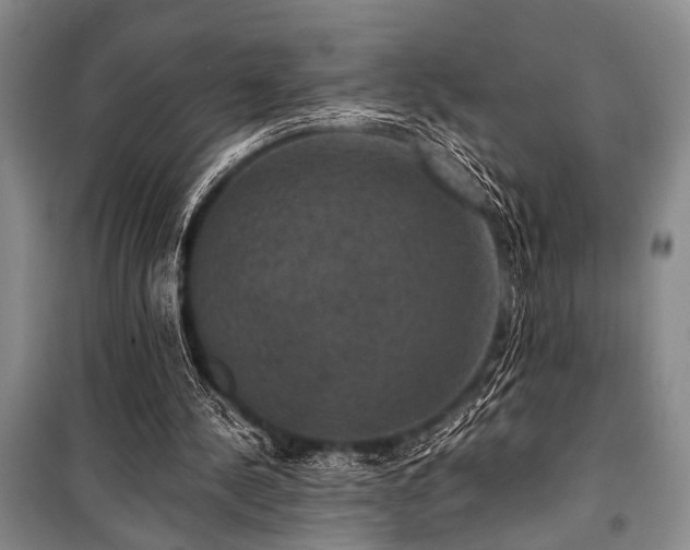 X0000101140244200806270926