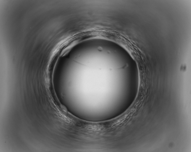 X0000101140245200806270926