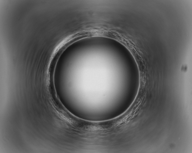 X0000101140246200806270926