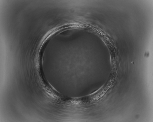 X0000101140247200806270926