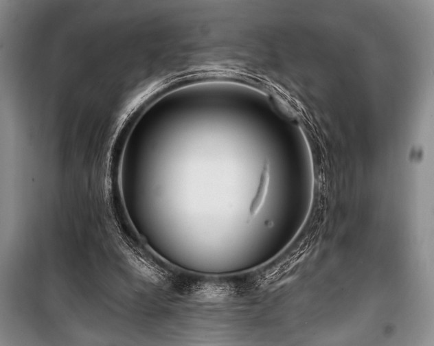 X0000101140248200806270926