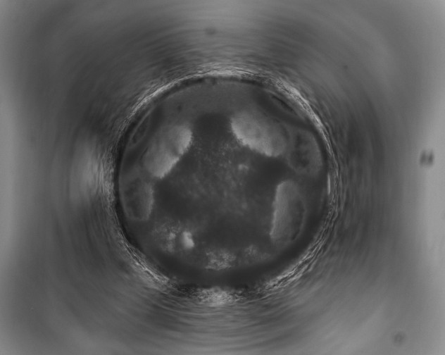 X0000101140249200806270926