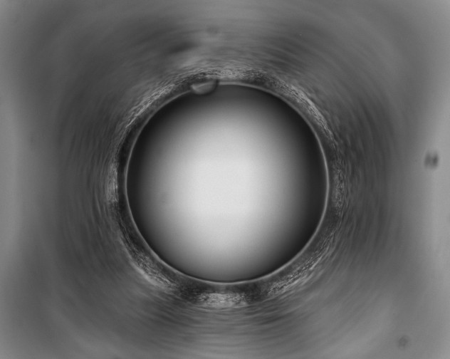 X0000101140251200806270926