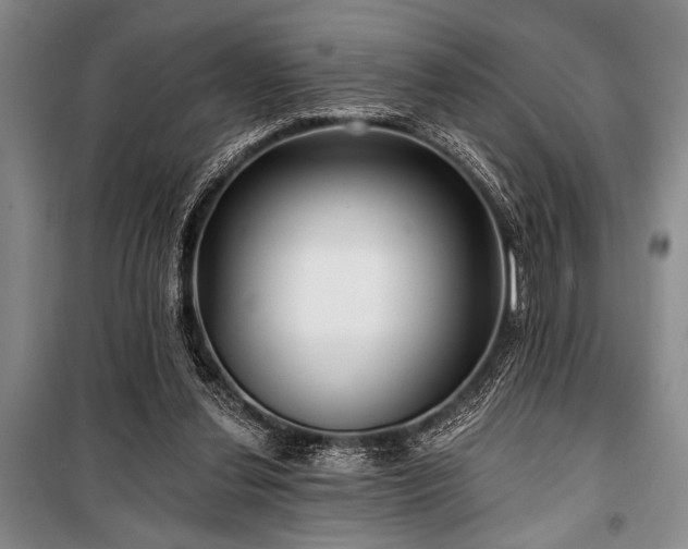 X0000101140252200806270926