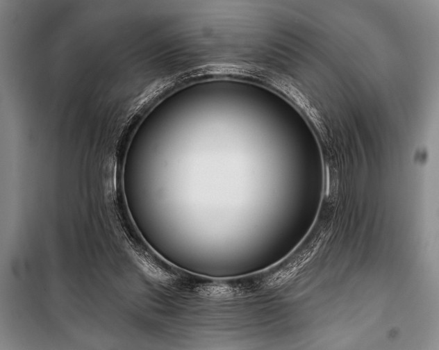 X0000101140253200806270926