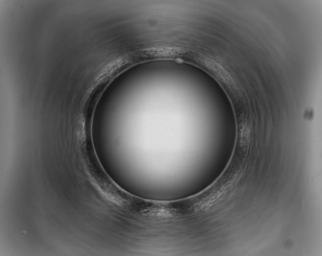 X0000101140254200806270926