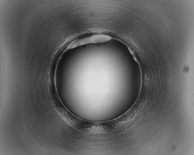 X0000101140256200806270926