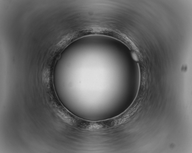 X0000101140257200806270926