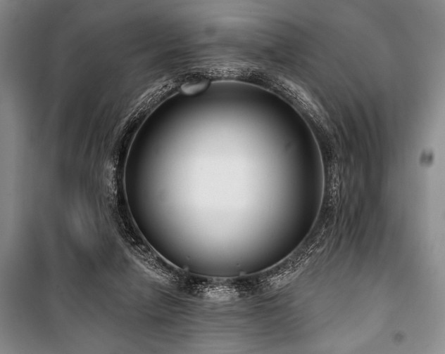 X0000101140258200806270926