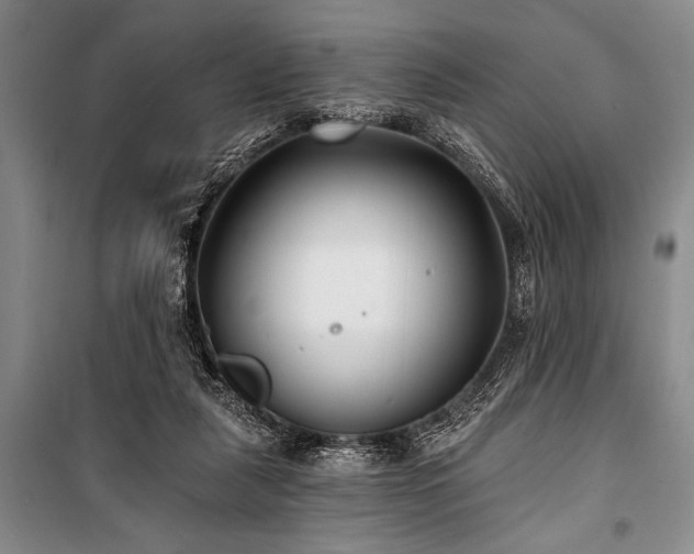 X0000101140259200806270926