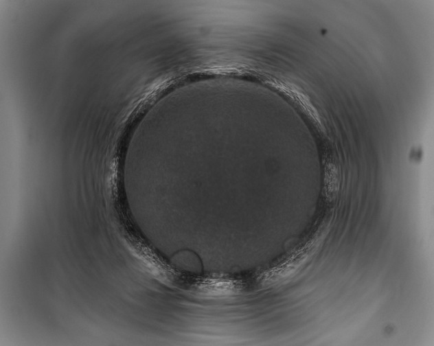 X0000101140260200806270926