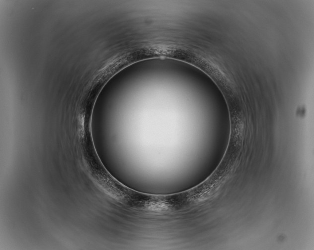 X0000101140262200806270926