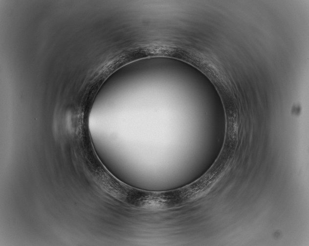 X0000101140263200806270927