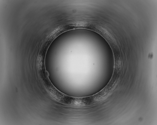 X0000101140264200806270927