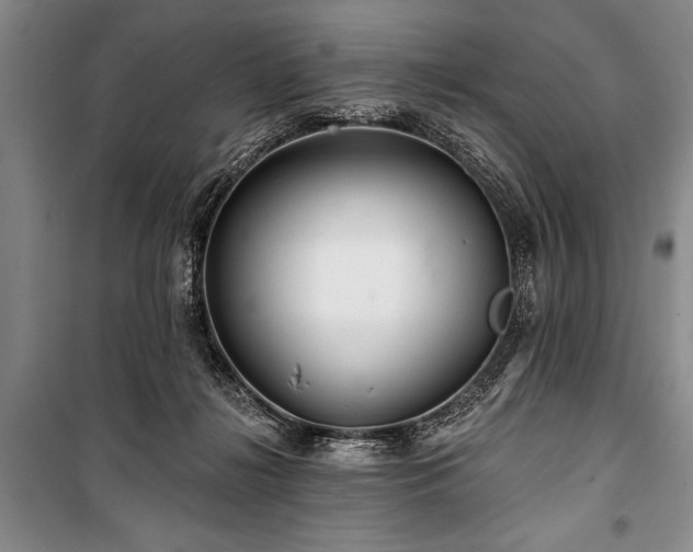 X0000101140268200806270927