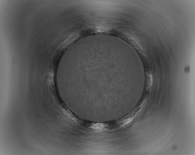 X0000101140269200806270927