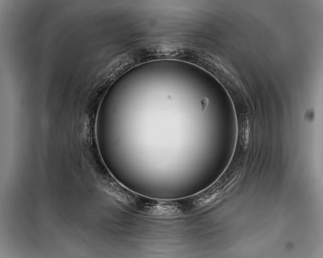 X0000101140270200806270927