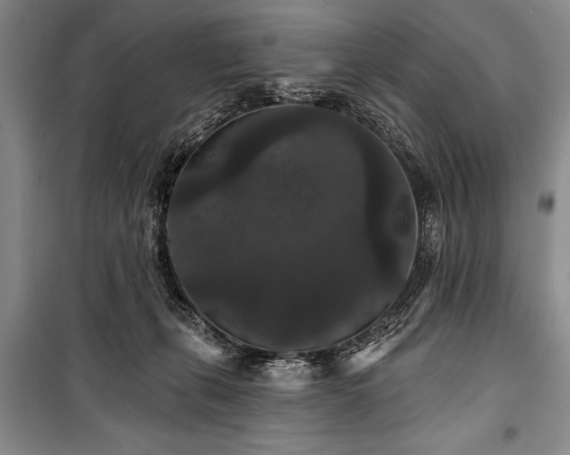 X0000101140271200806270927