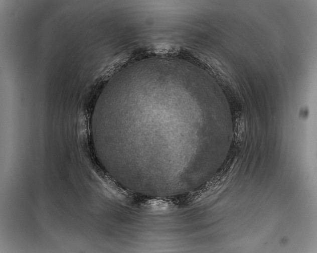 X0000101140272200806270927