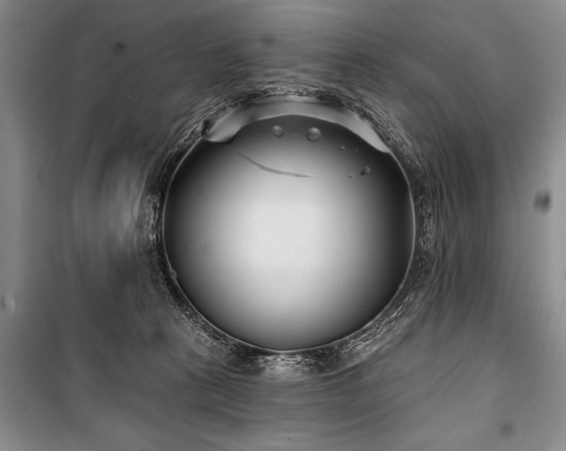 X0000101140273200806270927