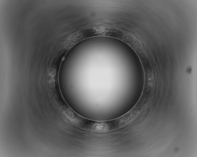 X0000101140275200806270927