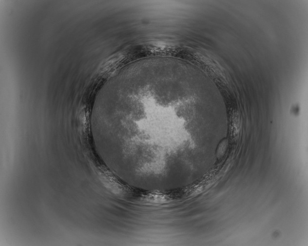 X0000101140276200806270927