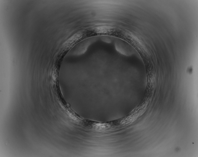 X0000101140277200806270927