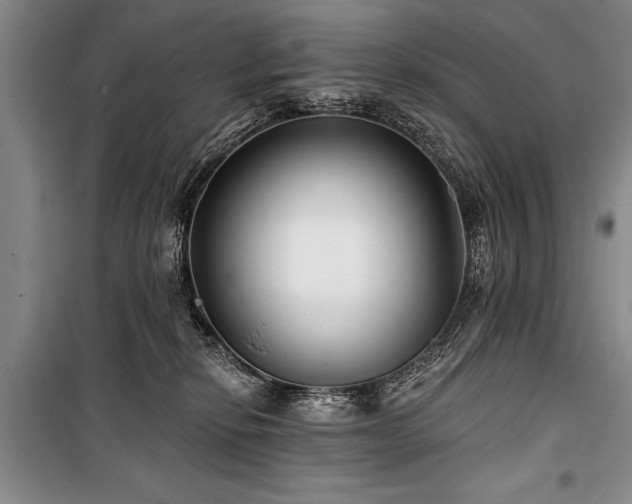 X0000101140278200806270927