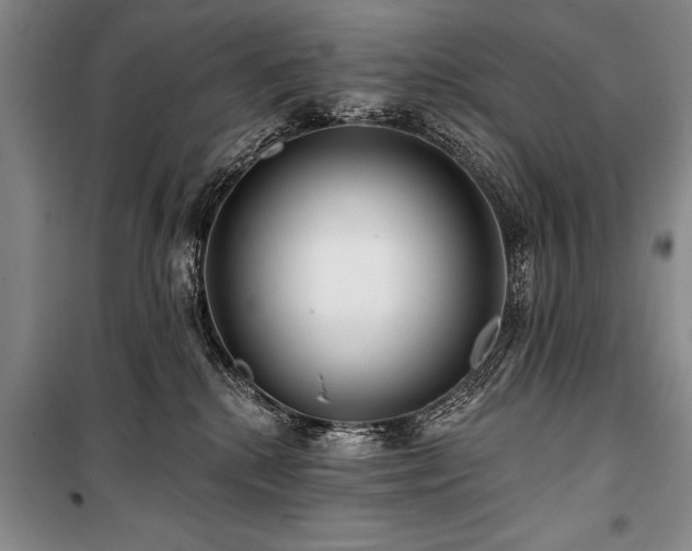 X0000101140280200806270927