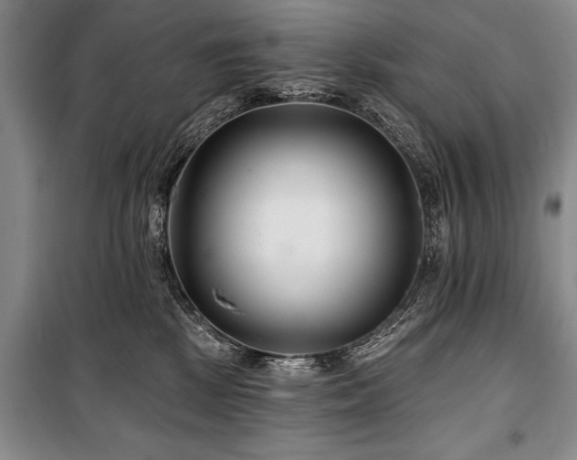 X0000101140281200806270927