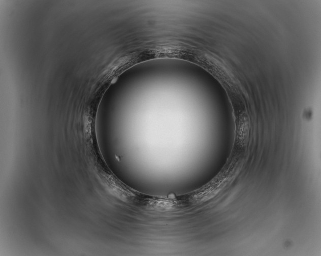 X0000101140282200806270927