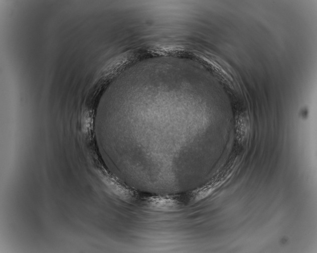 X0000101140284200806270927