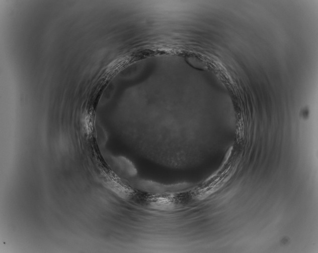 X0000101140285200806270927